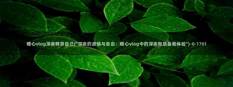 糖心volg在线：糖心vlog深夜释放自己(\
