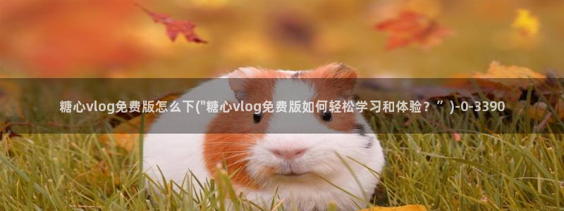 糖心vl0