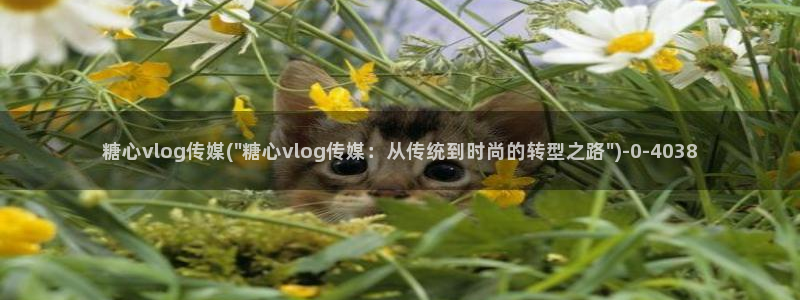 糖心velo