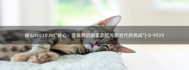 糖心t